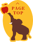 ページTOPへ